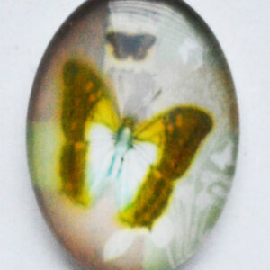 Lasikapussi Perhonen  25x18mm, 1 kpl