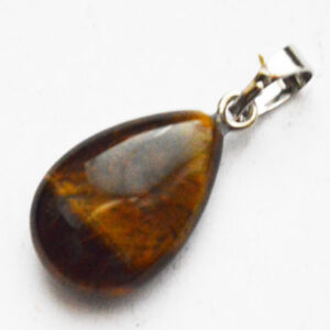 Tiigrisilm ripats 23x13mm plaatina värvi messingist haagiga, 1 tk